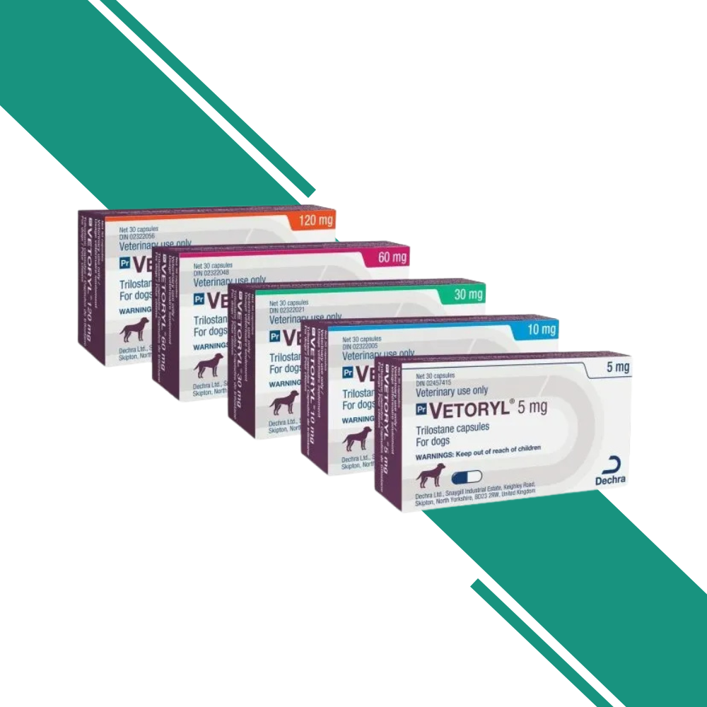 Vetoryl Capsules for Dogs